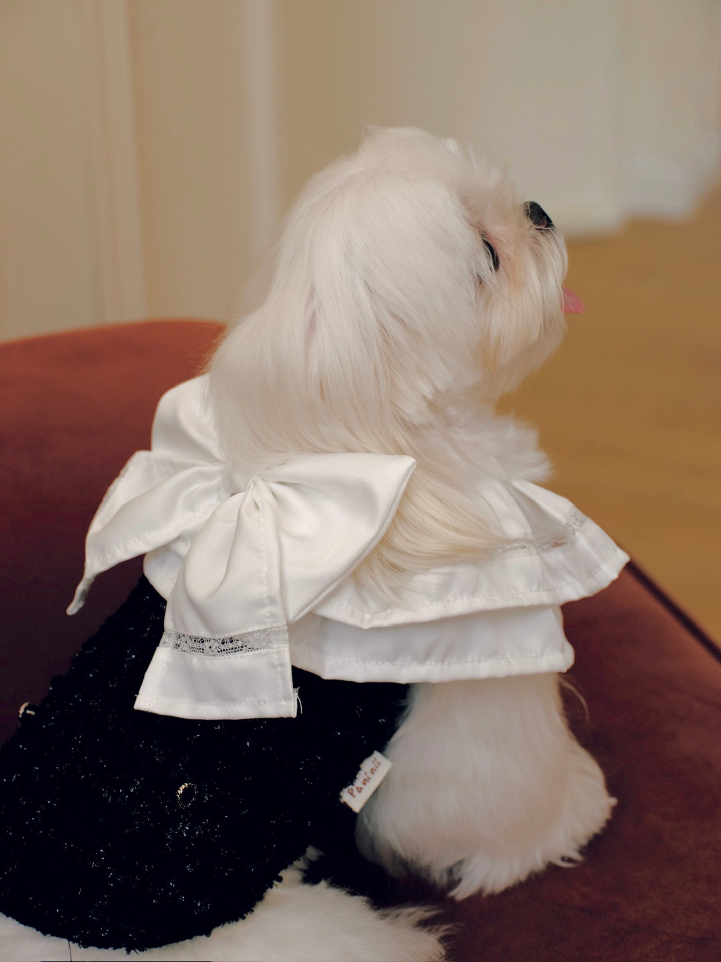 Paninii Teatime Collection