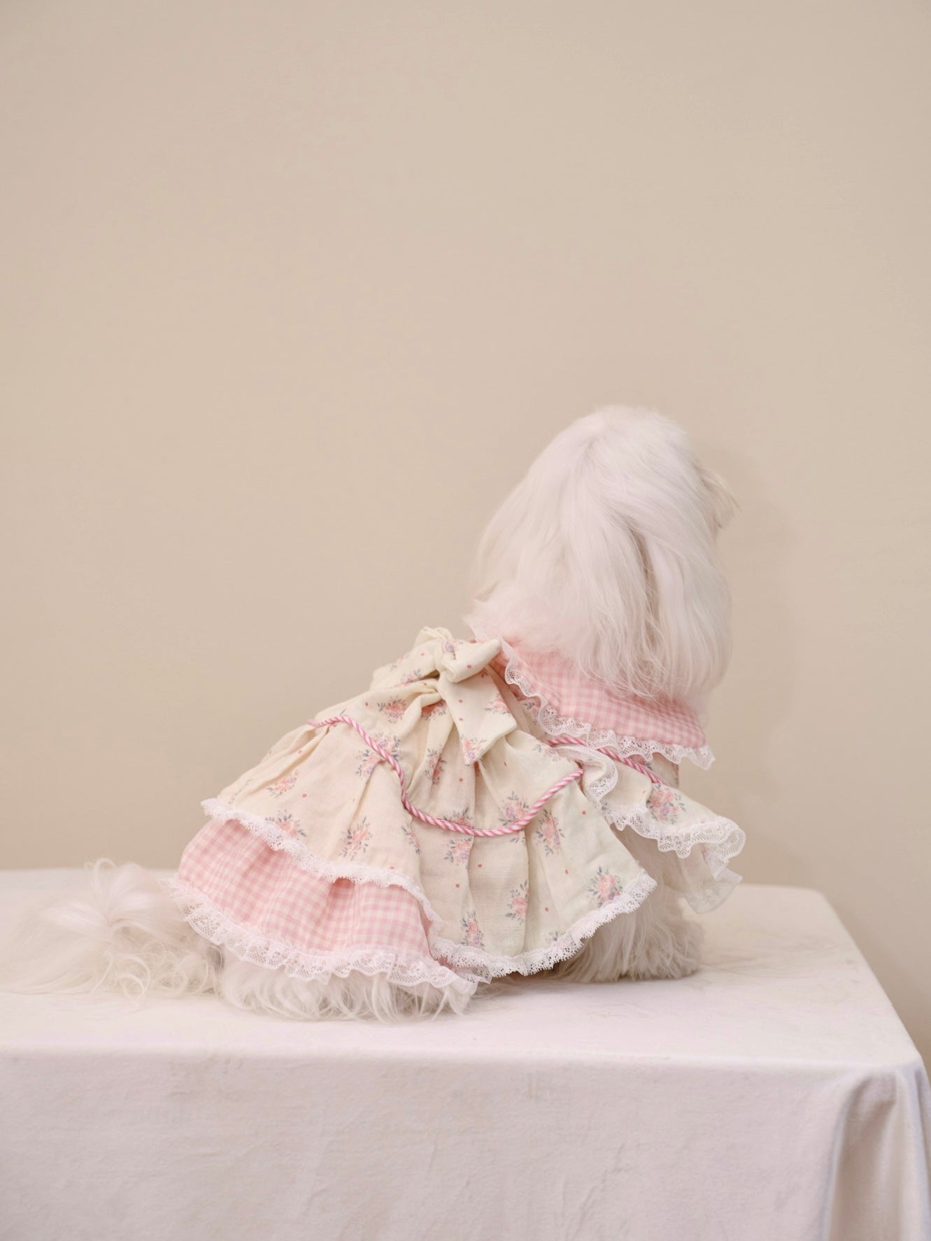 Paninii Garden Collection