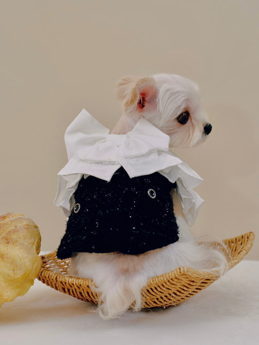 Paninii Teatime Collection