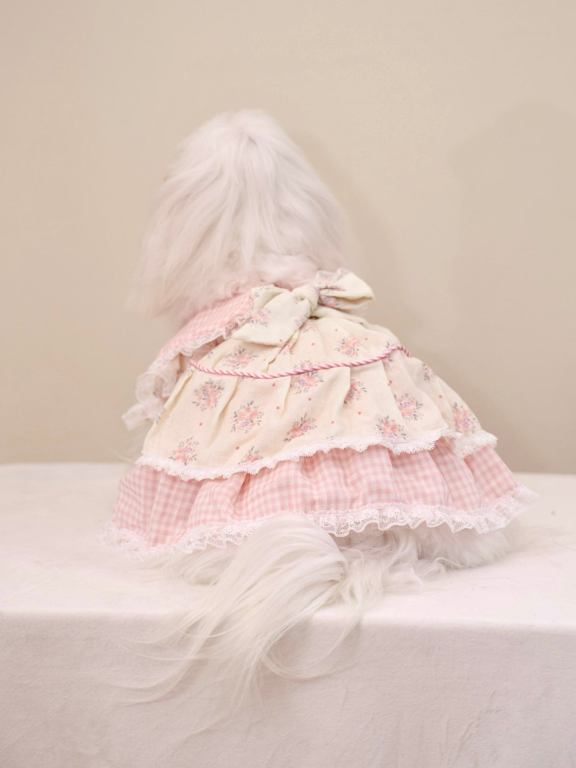 Paninii Garden Collection