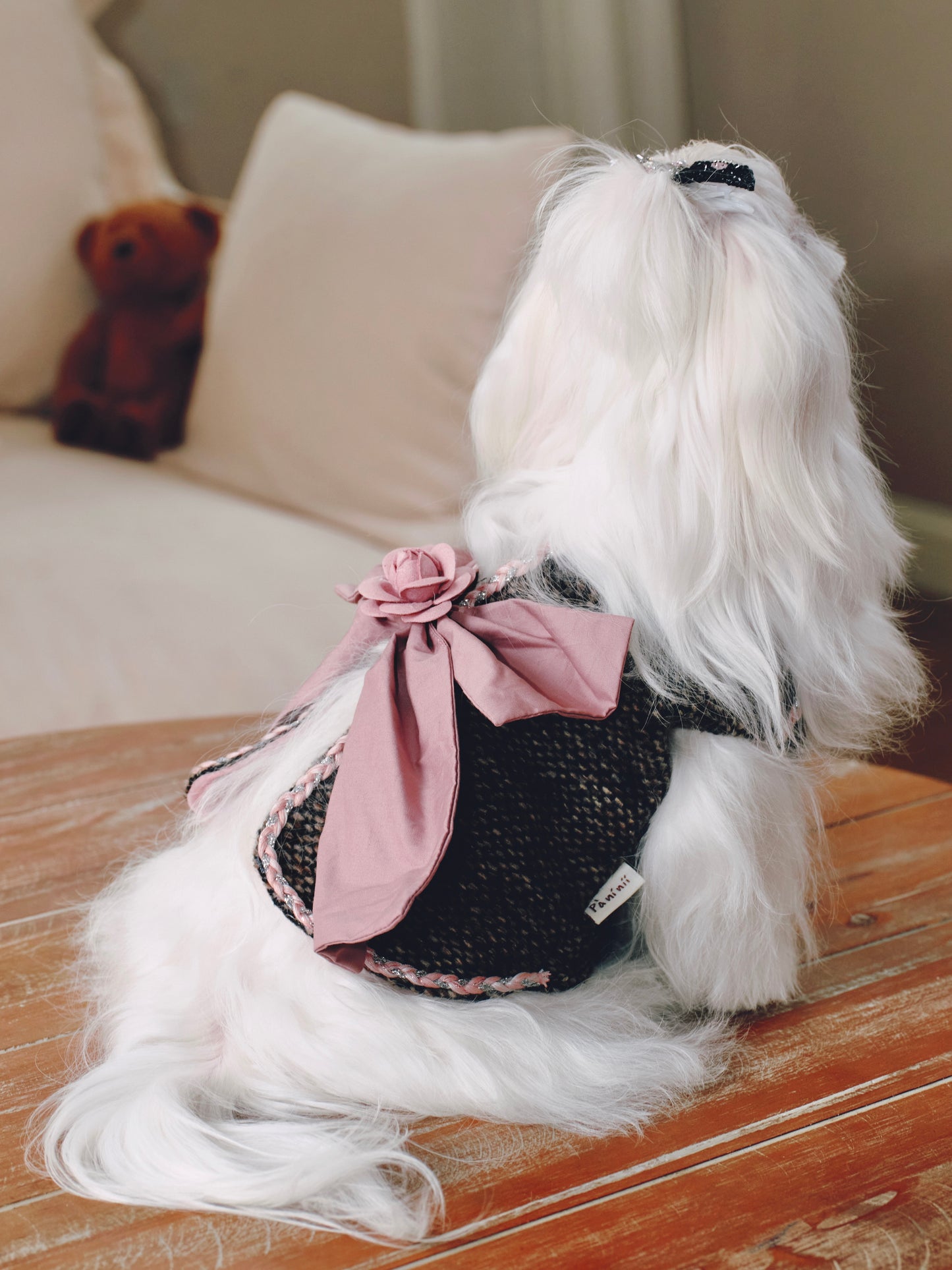 Paninii Teatime Collection