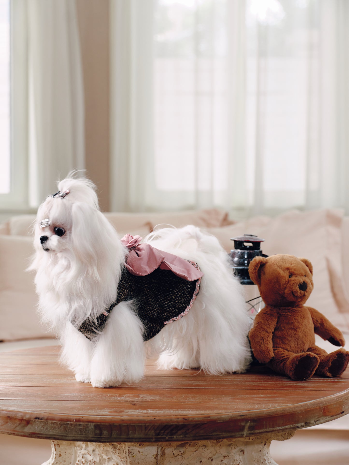 Paninii Teatime Collection