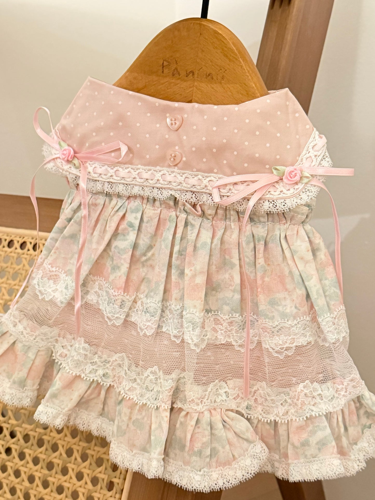 Paninii Garden Collection