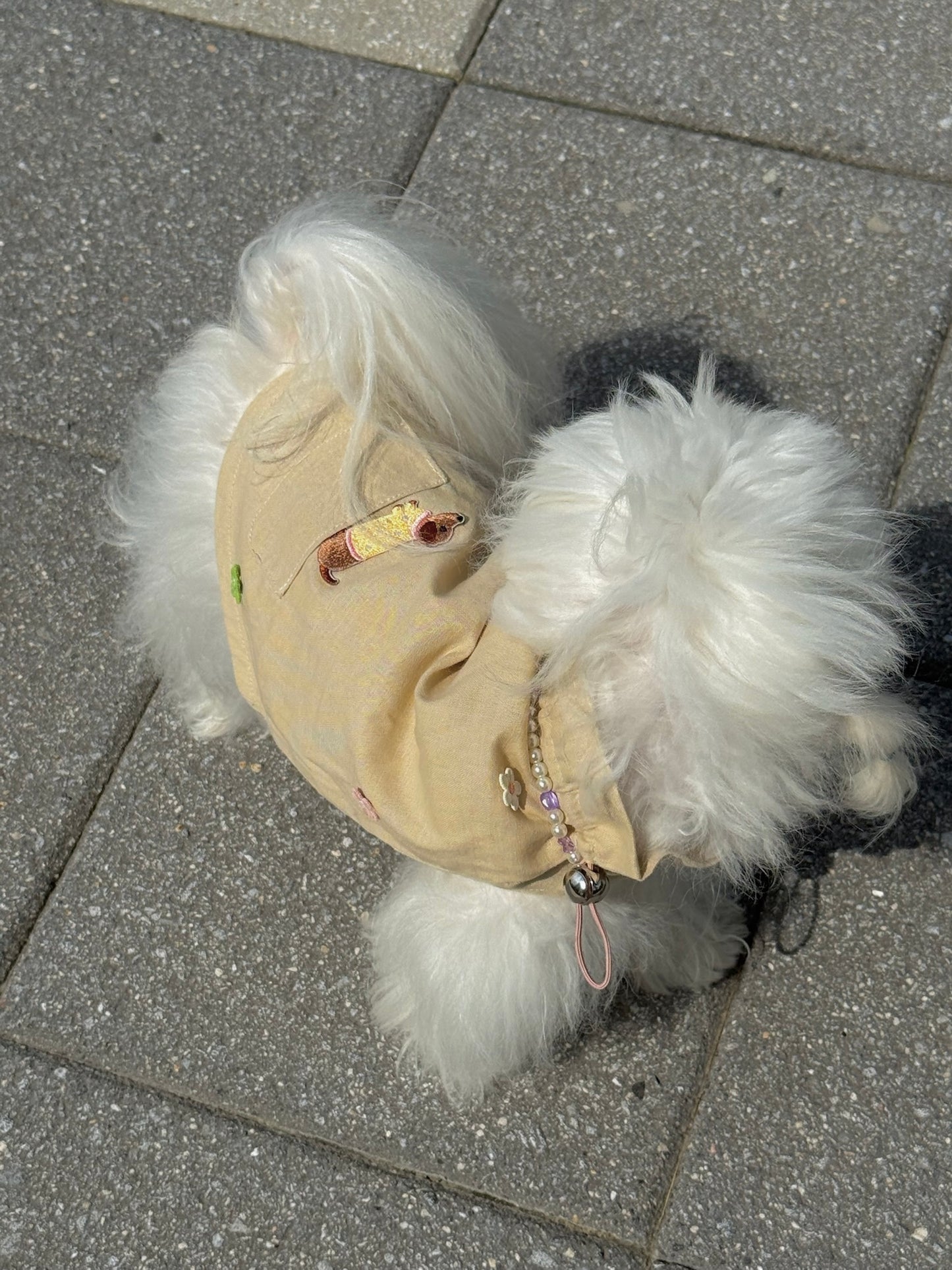 Paninii Artist’s Embroidered Patch Collection