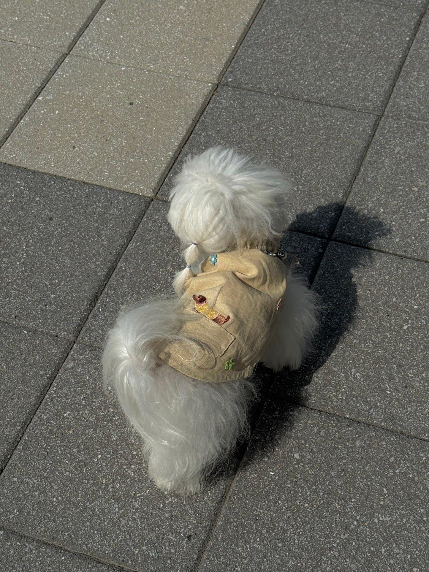 Paninii Artist’s Embroidered Patch Collection