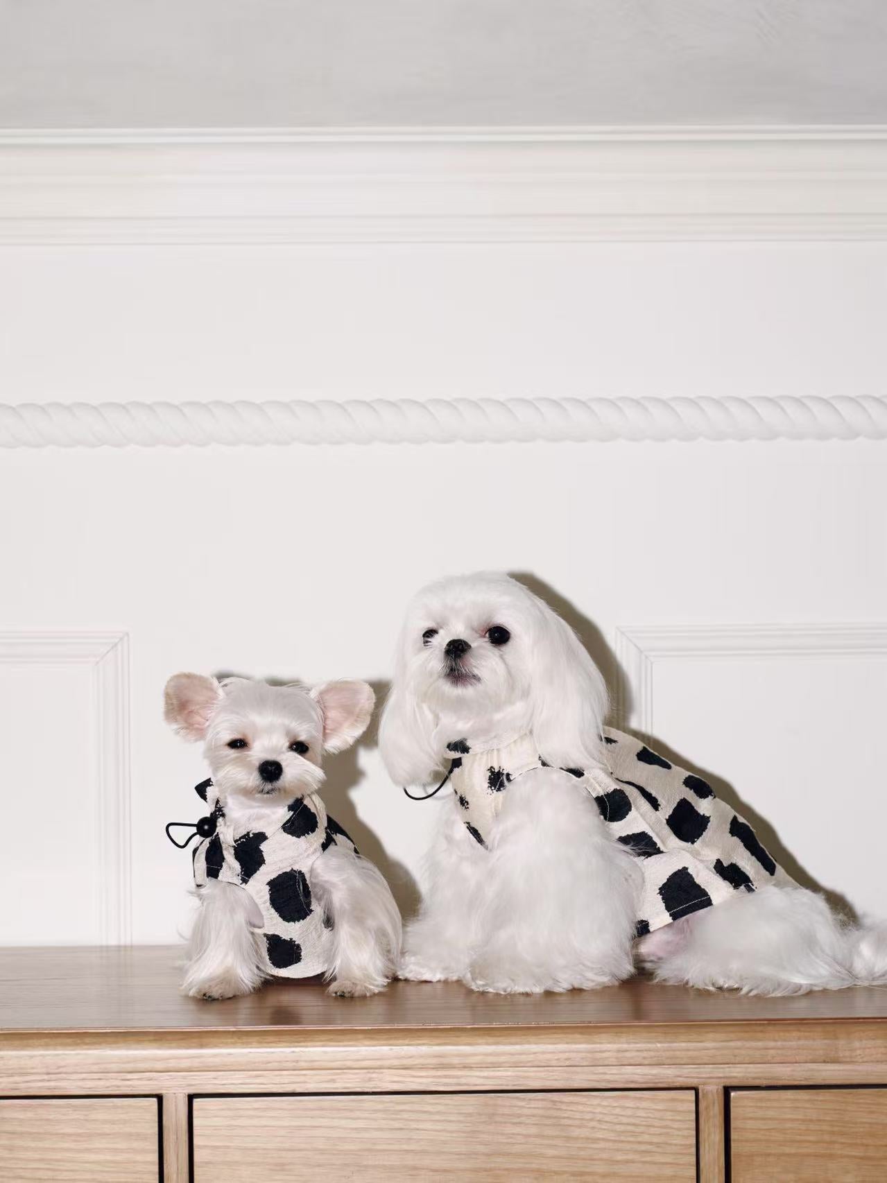 Paninii Artist’s Ink Collection