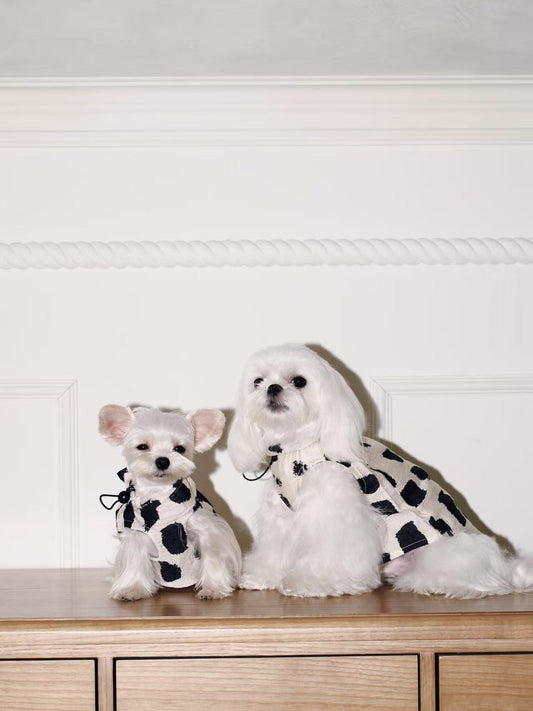 Paninii Artist’s Ink Collection