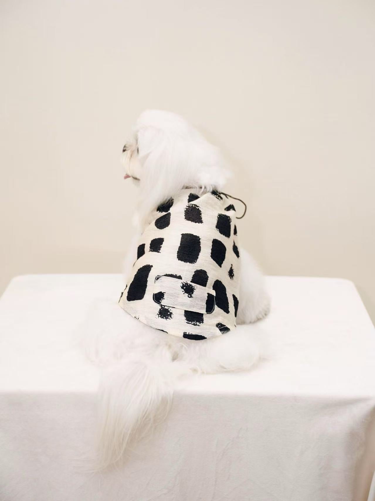 Paninii Artist’s Ink Collection