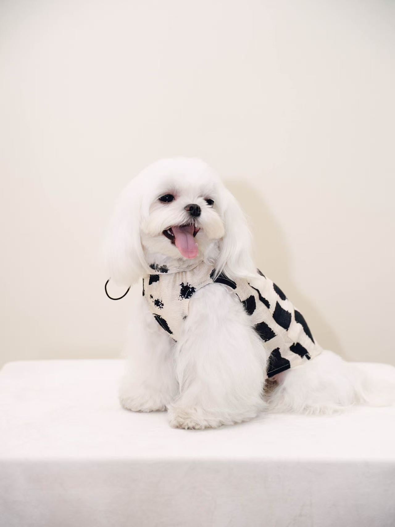 Paninii Artist’s Ink Collection