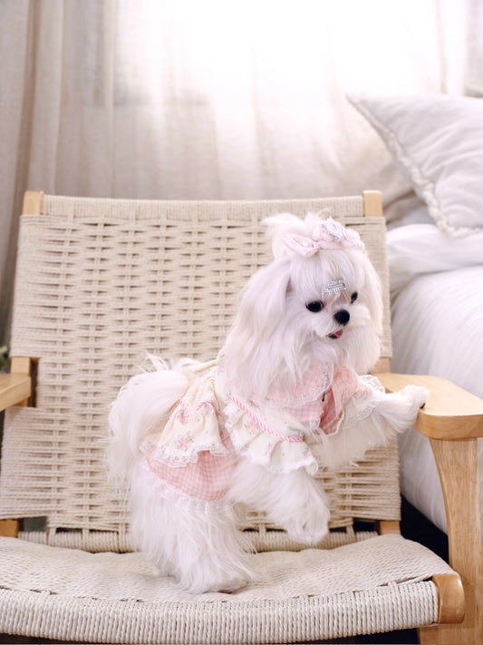 Paninii Garden Collection